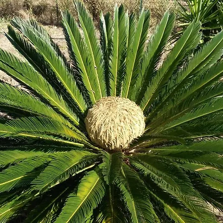 I Giardini Di Lala 2* Trabia