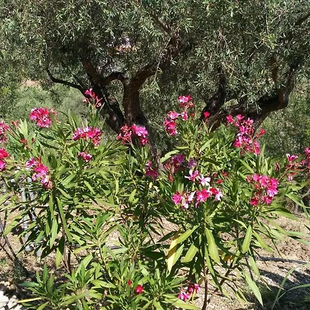 I Giardini Di Lala Bed and breakfast 2*