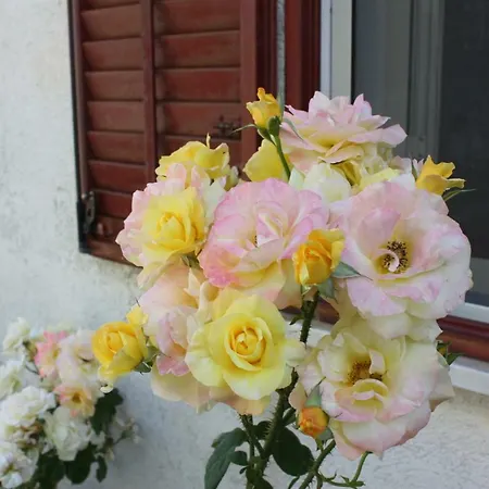 I Giardini Di Lala 2* Trabia